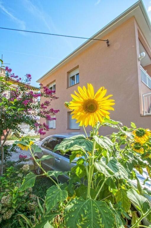 Apartman Studio Nena Crikvenica Kültér fotó